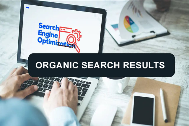transportation search engine optimization seo